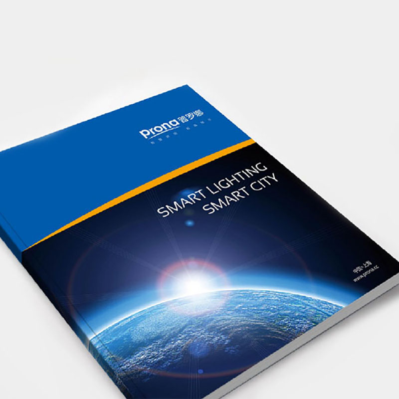 普羅娜營銷策劃畫冊設(shè)計(jì)