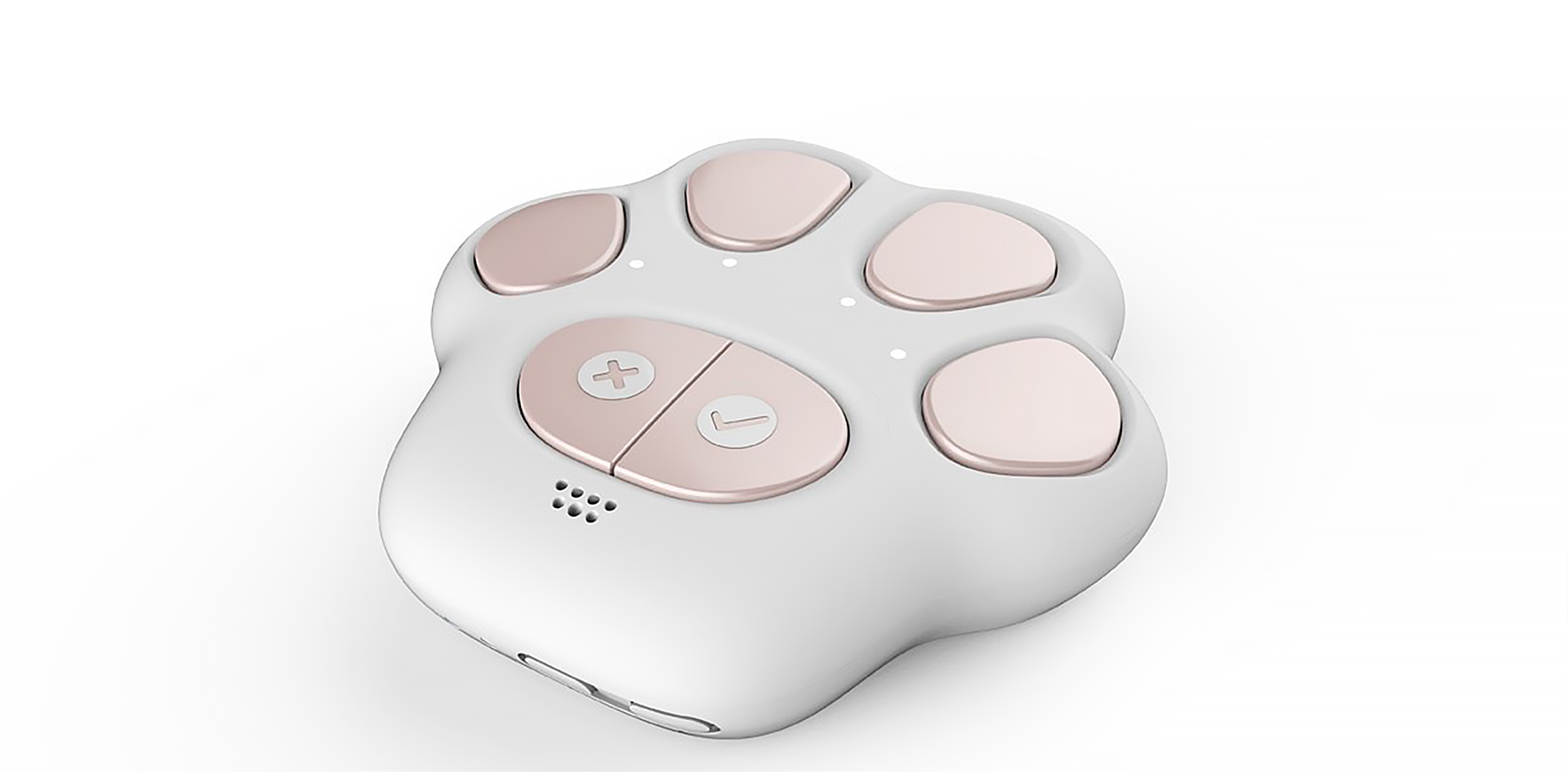 1646704382810594.png 5.png