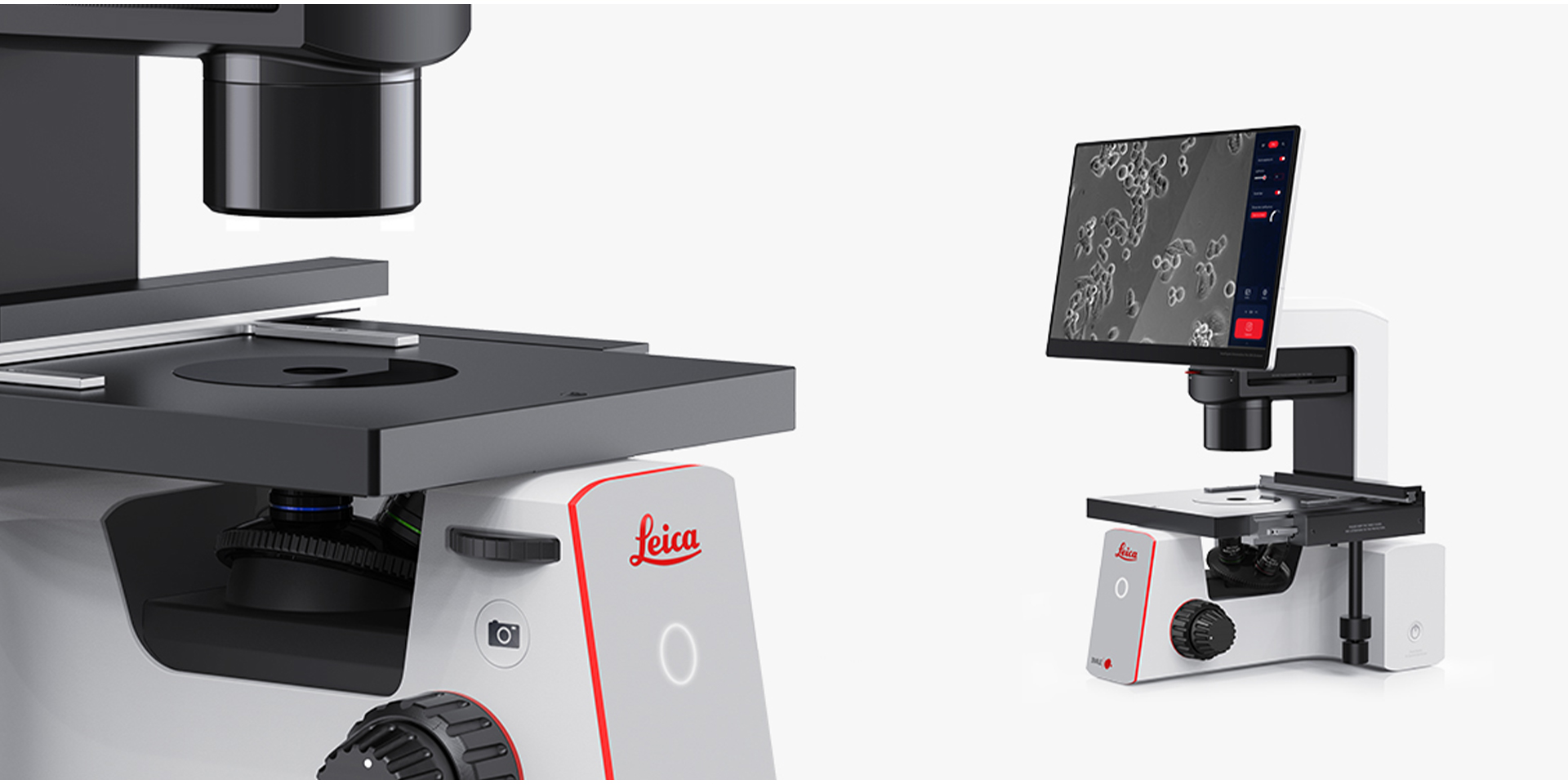 1721283090213194.jpg 5.jpg